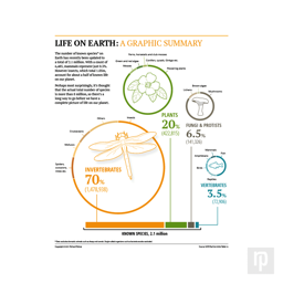 A chart displaying all known species on earth, 70% of which are invertebrates