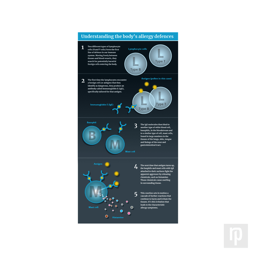 A step-by-step diagram showing how cells in the body defend against pollen