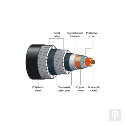 This exploded view shows the layers and parts that make a submarine data cable